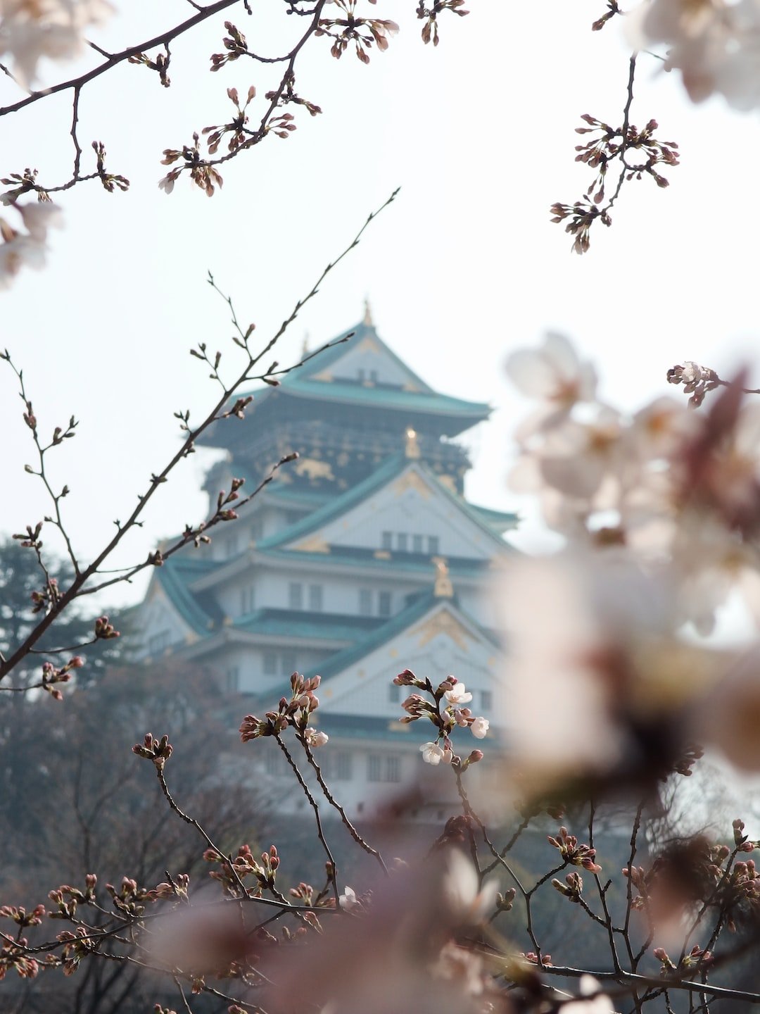 Exploring Ueno Park is a glimpse into Japan's rich cultural heritage.