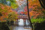 Exploring the beauty of Japan's Korakuen Garden.