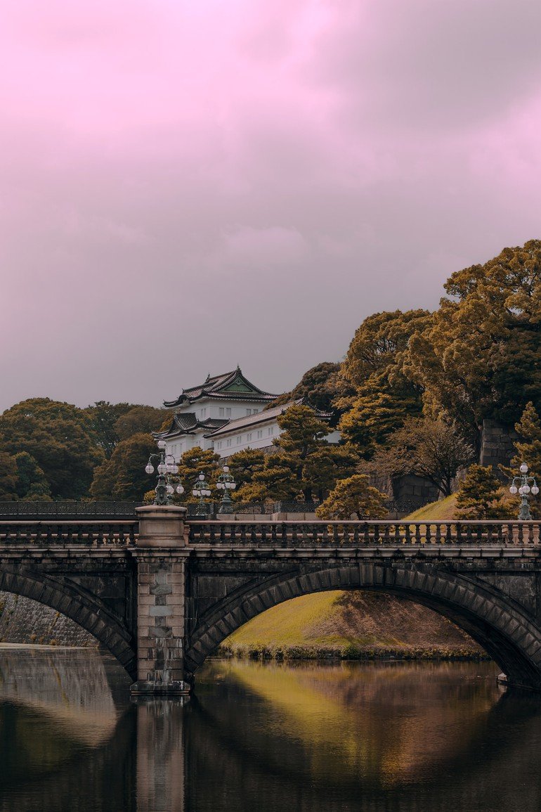 Japan's Samurai Legacy: A Timeless Influence on Modern Culture
